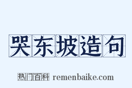 哭东坡造句是什么意思的图片